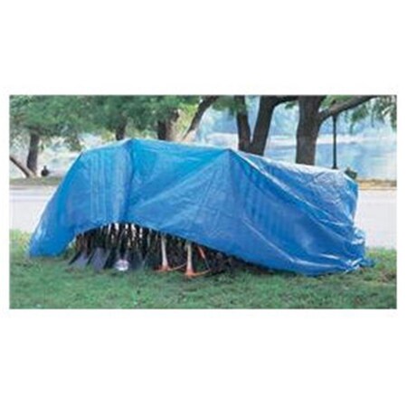 House Anchor 11032 15 and apos; x 25 and apos; Poly Tarp Woven Lamin HO112897